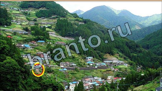 Где же кот игра ответы Уровень 6469