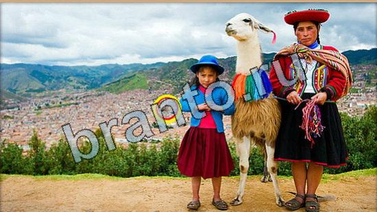 ответы на игру Где же кот в скриншотах Уровень 6472