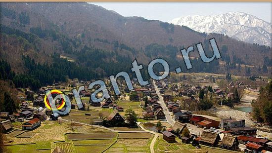 ответы на игру Где же кот Уровень 6474