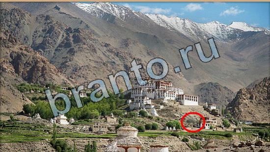 ответы на игру Где же кот Уровень 6476