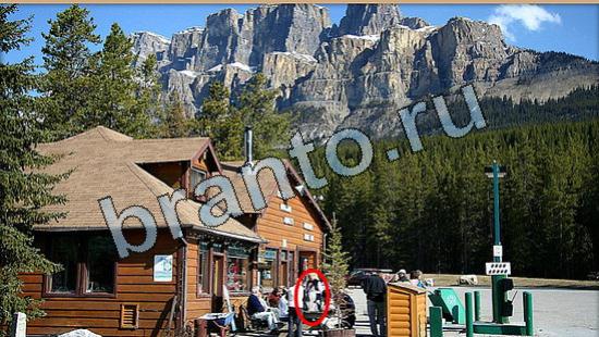 Где же кот ответы в одноклассниках Уровень 6479