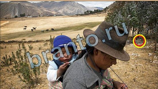 Где же кот игра ответы Уровень 6480