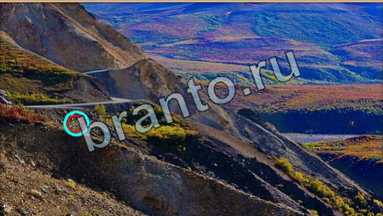 Подсказки на игру Где же кот Уровень 6482