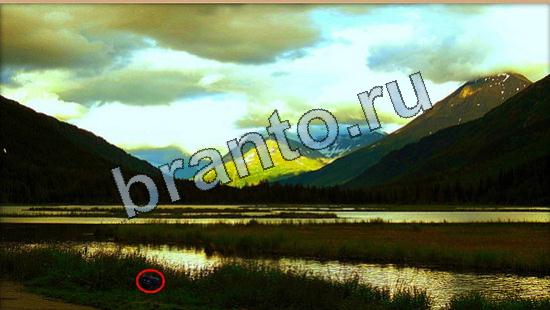 ответы на игру в одноклассниках Где же кот Уровень 6486