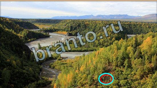 Где же кот? ответы Уровень 6488