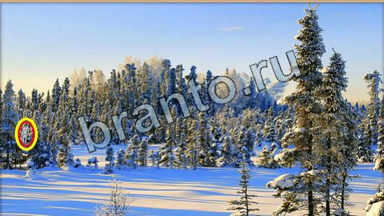 Где же кот? помощь Уровень 6490