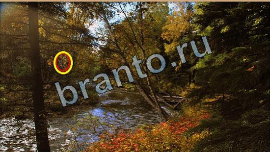 Где же кот? решения Уровень 6492