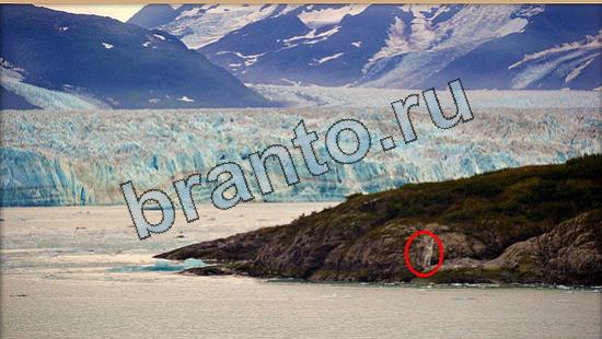 Где же кот игра подсказки Уровень 6494