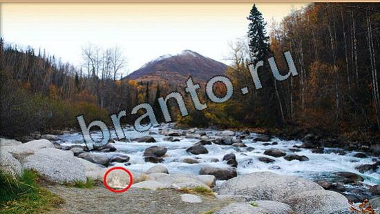 Где же кот игра помощь Уровень 6495