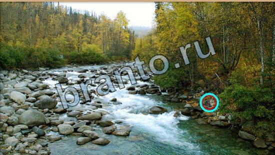 Где же кот ответы в картинках Уровень 6496