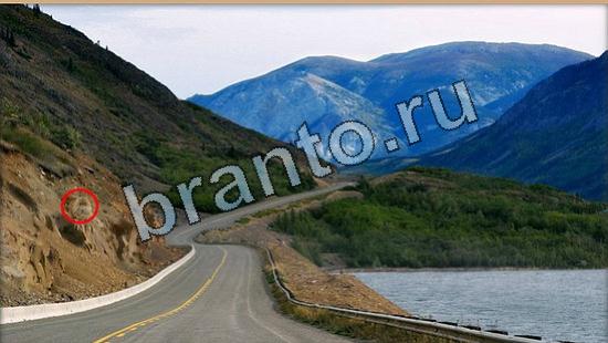 Игра Где же кот ответы Уровень 6497