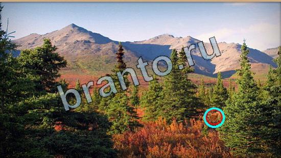 Игра Где же кот подсказки Уровень 6498