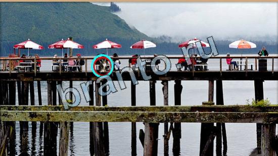 игра Где же кот помощь Уровень 6499