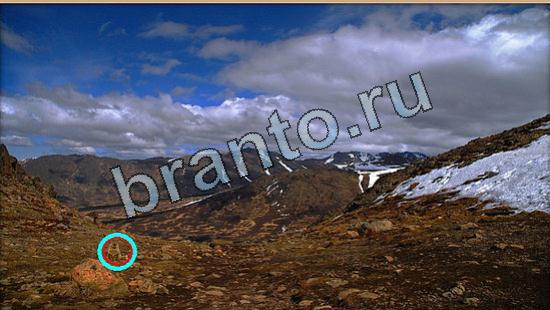 Игра Где же кот прохождение Уровень 6500