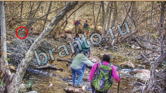 Где же кот прохождение игры Уровень 6502