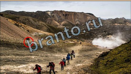 відповіді на игру Где же кот в одноклассниках Уровень 6503