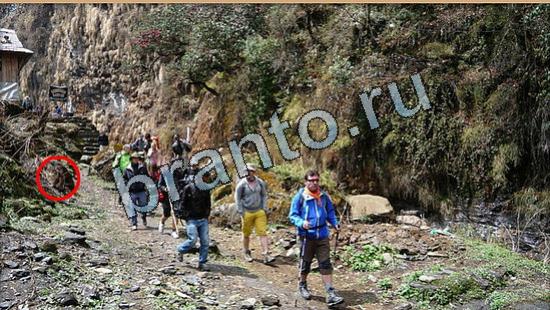 ответы для игры Где же кот Уровень 6507