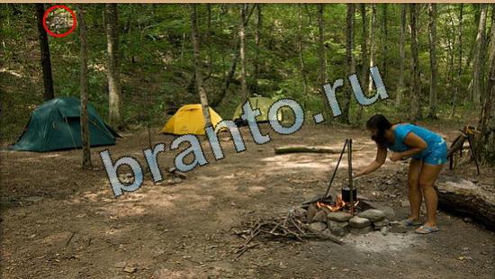 решения для игры Где же кот Уровень 6508