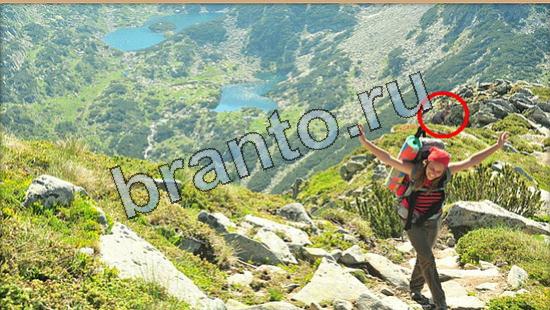 Где же кот помощь в картинках Уровень 6511