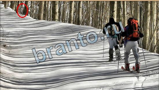 ответы на игру Где же кот в скриншотах Уровень 6512