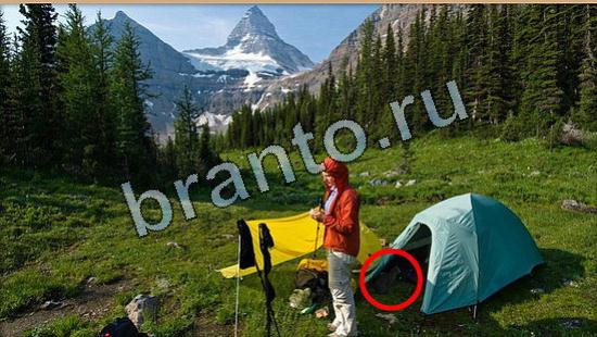 Где же кот ответы на новые задания Уровень 6513