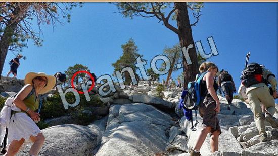 решения на игру Где же кот Уровень 6515