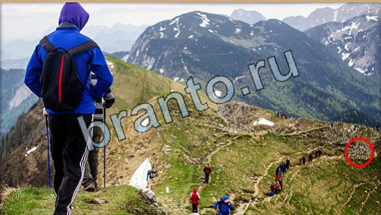 ответы на игру Где же кот Уровень 6516