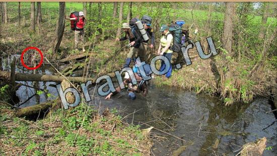 ответы в картинках на игру Где же кот Уровень 6517