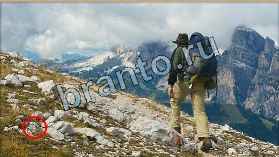 Где же кот ответы в одноклассниках Уровень 6519