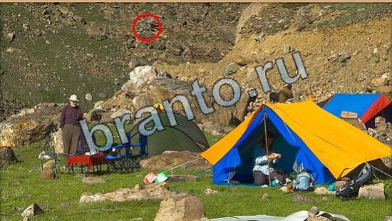 Где же кот игра ответы Уровень 6520