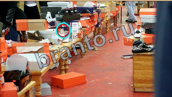 Где же кот? помощь Уровень 6530