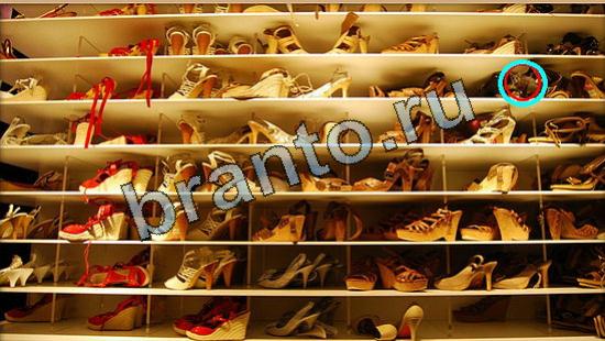 Игра Где же кот ответы Уровень 6537