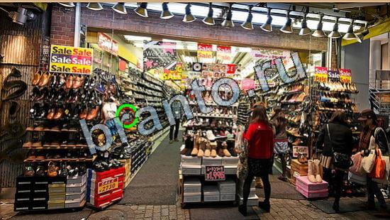 игра Где же кот помощь Уровень 6539