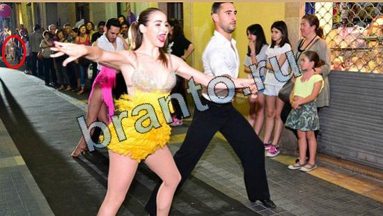 Прохождение игры Где же кот Уровень 6544