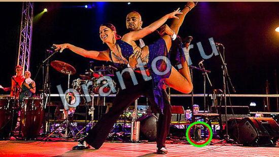 ответы Где же кот Уровень 6545