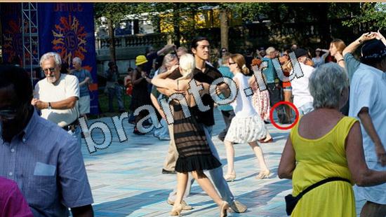 ответы Где же кот? в одноклассниках Уровень 6546