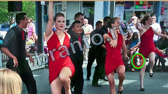 ответы для игры Где же кот Уровень 6547