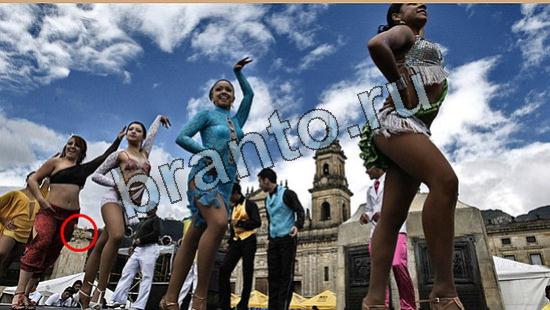 ответы на игру Где же кот в скриншотах Уровень 6552