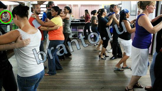 ответы на игру Где же кот Уровень 6554