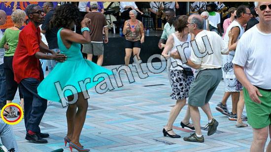 решения на игру Где же кот Уровень 6555