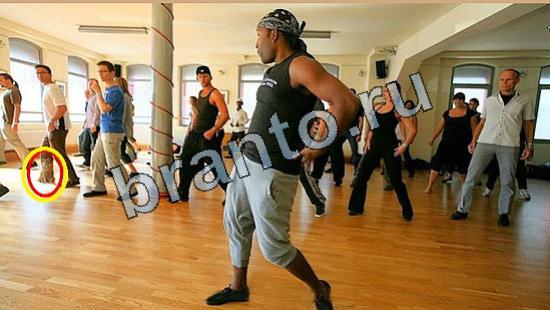 ответы на игру Где же кот Уровень 6556