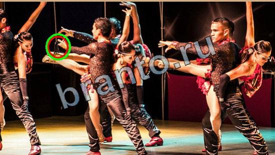 ответы в картинках на игру Где же кот Уровень 6557