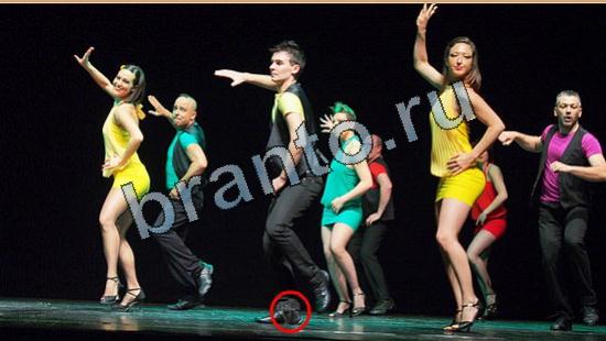 помощь на игру Где же кот Уровень 6558