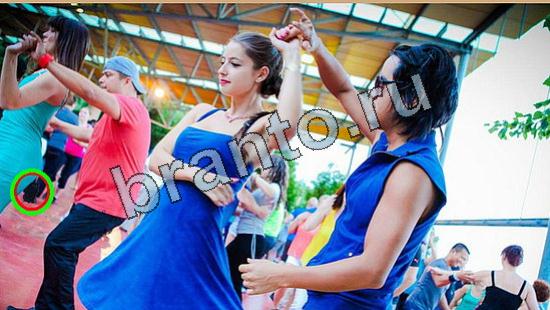 Где же кот игра ответы Уровень 6560