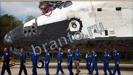 Решения на игру Где же кот Уровень 6603