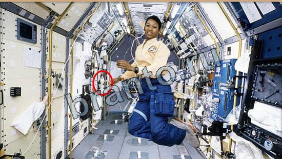 ответы на игру в одноклассниках Где же кот Уровень 6606