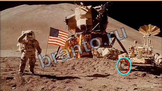 Где же кот? помощь Уровень 6610