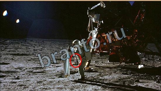 Где же кот? решения Уровень 6612