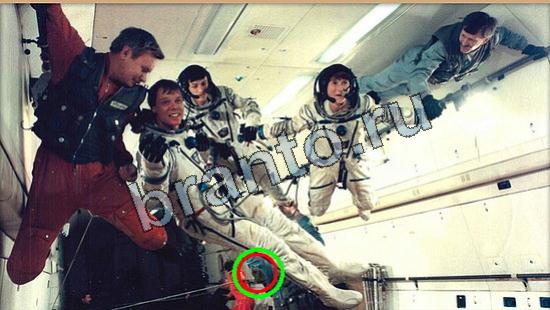 Где же кот ответы в картинках Уровень 6616