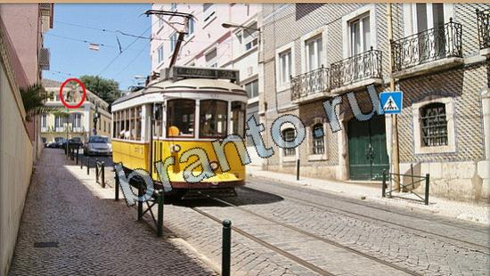 прохождение на игру Где же кот Уровень 6621